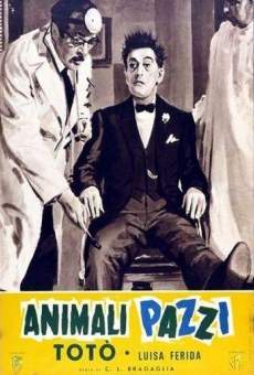 Animali pazzi