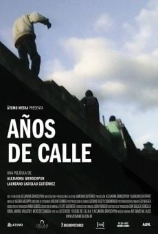 Años de calle (2012)