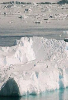 Antarctica : Tales of Ice