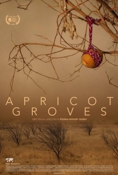 Apricot Groves (2017)