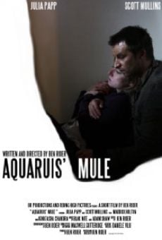 Aquarius' Mule online streaming