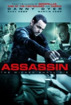 Película: Assassin