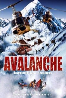 Alerte - Avalanche!