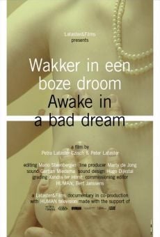 Película: Awake in a Bad Dream