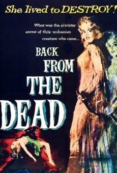 Back from the Dead online streaming