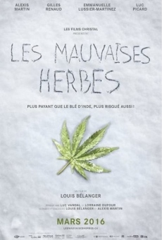 Les mauvaises herbes online streaming