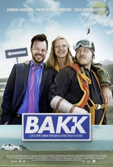 Bakk (2015)