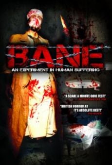 Bane on-line gratuito