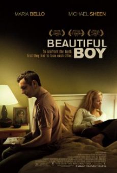 Beautiful Boy en ligne gratuit