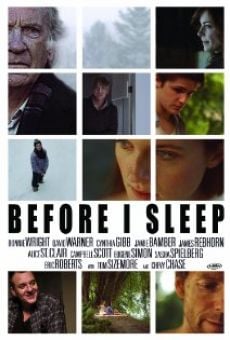 Before I Sleep (2013)