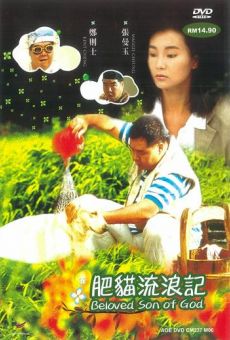 Fei maau lau long gei (1988)