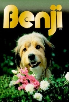 Benji on-line gratuito