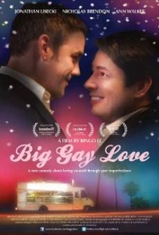 Película: Big Gay Love