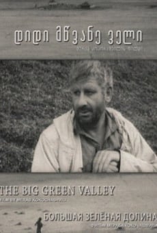 Película: Big Green Valley