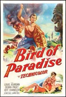 Bird of Paradise gratis