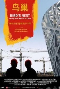 Bird's Nest - Herzog & De Meuron in China en ligne gratuit