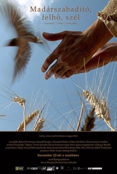 Madárszabadító, felhö, szél (2006)