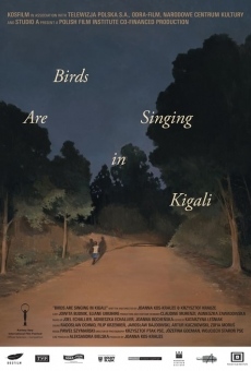 Ptaki spiewaja w Kigali (2017)