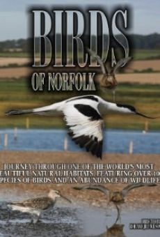 Película: Birds of Norfolk: A Bird Watchers Dream