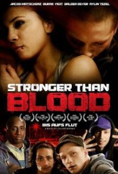 Bis aufs Blut - Brüder auf Bewährung (2010)