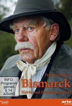 Bismarck : le dernier combat