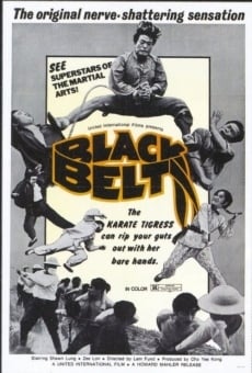 Black Belt online streaming
