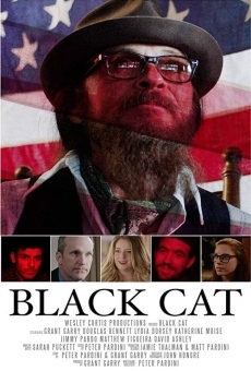 Black Cat (2017)