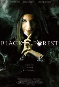 Black Forest: Hansel and Gretel & the 420 Witch online streaming