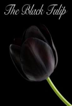 Película: Black Tulip