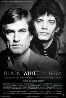 Black White + Gray: A Portrait of Sam Wagstaff and Robert Mapplethorpe en ligne gratuit