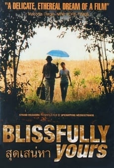 Película: Blissfully Yours