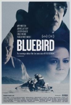 Bluebird