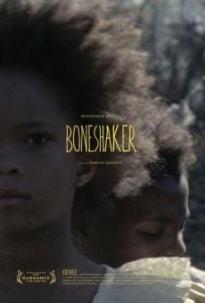 Boneshaker (2013)