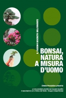 Bonsai, natura a misura d'uomo online streaming