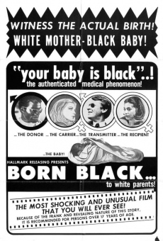 Película: Born Black