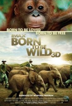 Born to Be Wild 3D