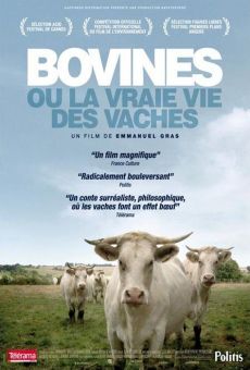 Película: Bovines ou la vraie vie des vaches