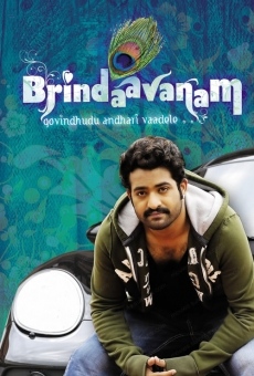Brindaavanam (2010)