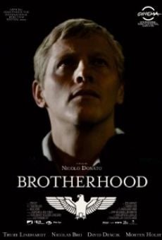 Brotherhood - Fratellanza online streaming