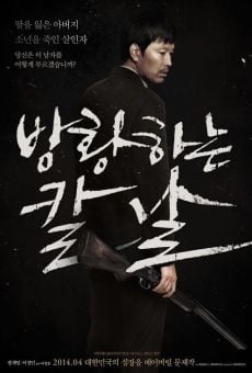 Bang-hwang-ha-neun kal-nal (Broken) (2014)