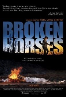 Broken Horses