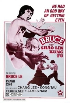 Película: Bruce and Shaolin Kung Fu