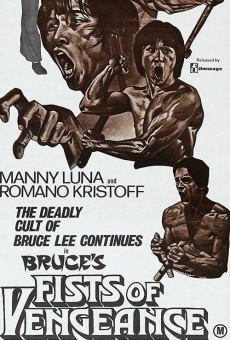 Bruce's Fists Of Vengeance en ligne gratuit