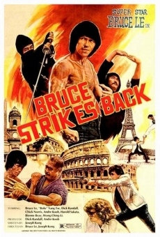 Película: Bruce Strikes Back