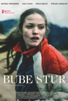 Bube Stur (2015)