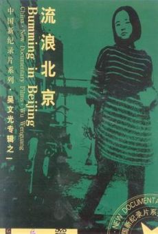 Bumming in Beijing: The Last Dreamers (1990)