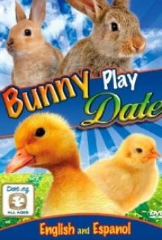 Bunny Play Date