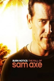 Película: Burn Notice: The Fall of Sam Axe