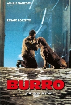 Burro on-line gratuito