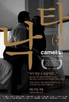 Película: Camel(s)
